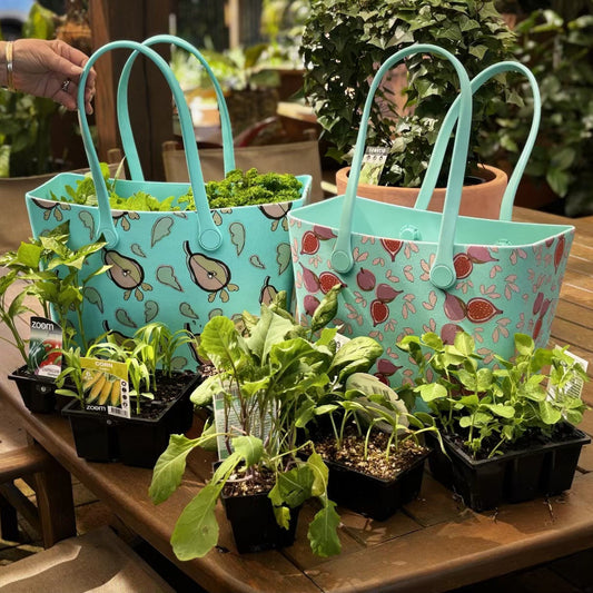 2 TOTE FAMILY LIFESTYLE SET: save 10%